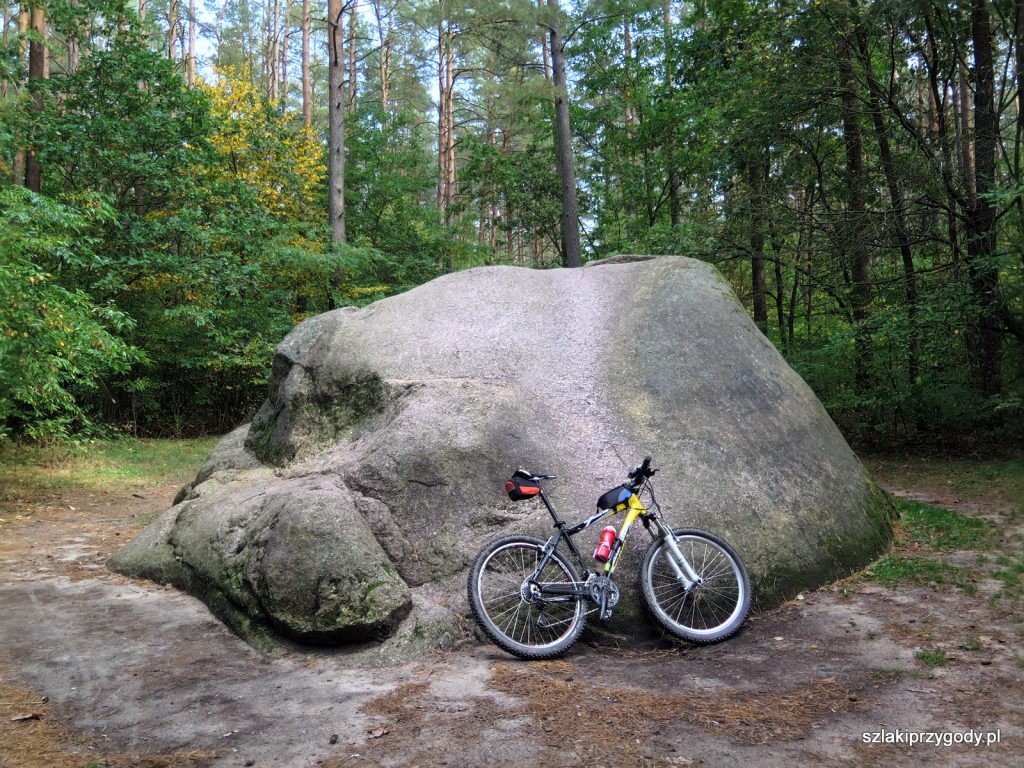 Diabelski Kamień w Leosi