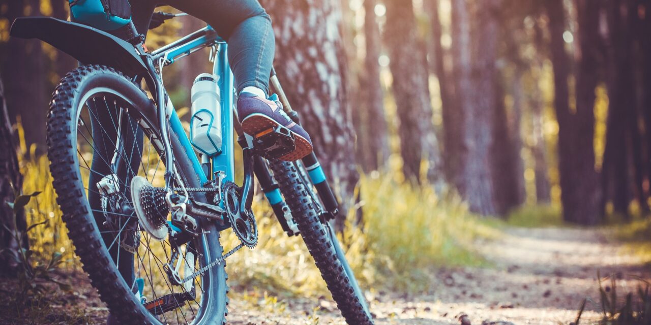 Z jaką ramą wybrać rower? Omawiamy ramy aluminiowe, karbonowe i stalowe.