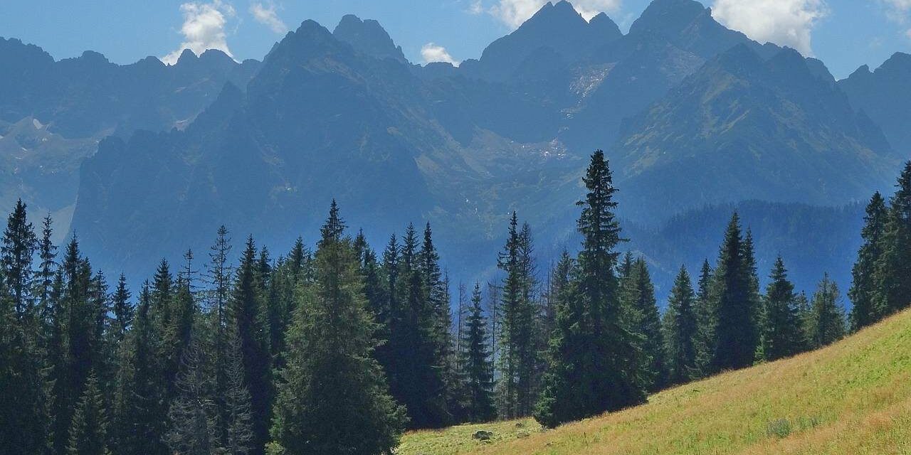 Pensjonat w Bukowinie Tatrzańskiej dla rodzin z dziećmi
