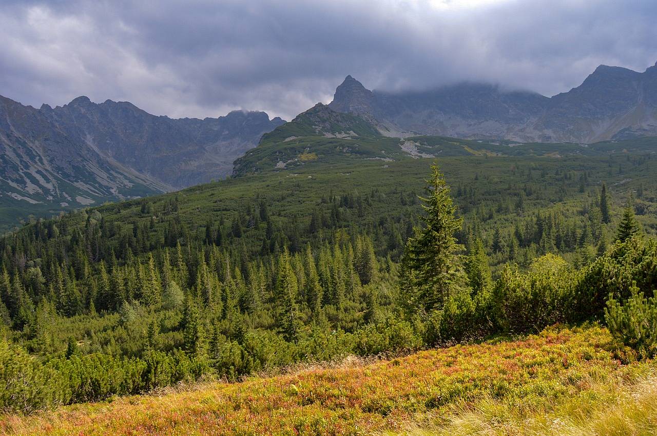 tatry-5048381_1280.jpg