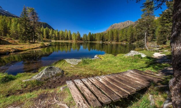 Najpiękniejsze parki narodowe na świecie – cuda natury, które zapierają dech w piersiach.