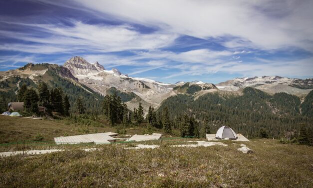 Niezbędnik każdego wędrowca – co warto spakować na wyprawę w dzikie tereny?