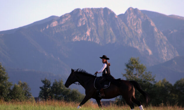 Jazda konna z pięknym widokiem na Tatry? Zapraszamy do Stajni na Brzyzku koło Zakopanego
