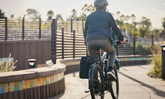 Szukasz roweru elektrycznego na długie trasy – sprawdź, jaki e-bike warto wybrać