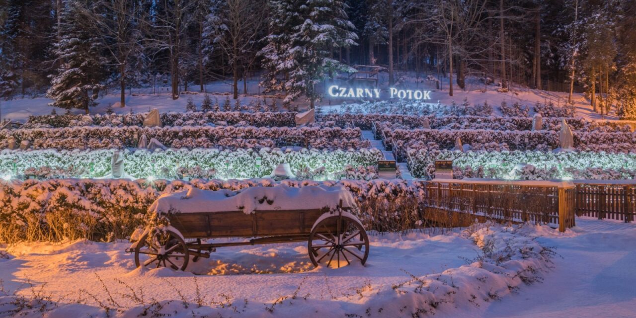 Dobry hotel w górach – czym powinien się wyróżniać? Lista kluczowych udogodnień