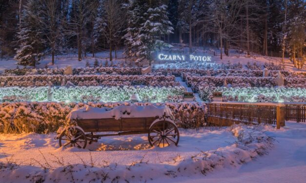 Dobry hotel w górach – czym powinien się wyróżniać? Lista kluczowych udogodnień