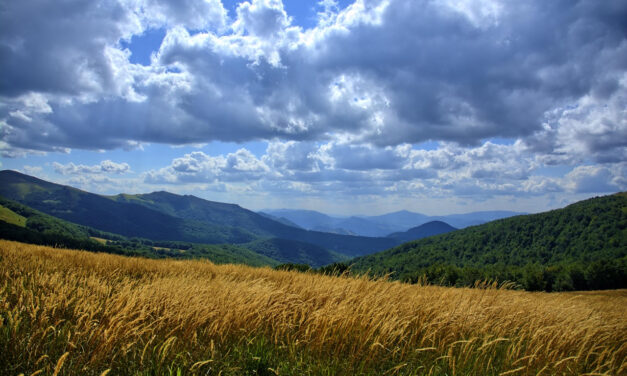 Majówka w Bieszczadach – co robić, gdzie spać i dlaczego warto uciec w góry na długi weekend?