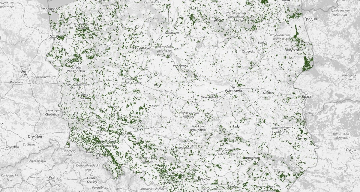 Nowa mapa lasów liściastych i mieszanych w Polsce – idealna na start wiosennego sezonu