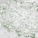 Nowa mapa lasów liściastych i mieszanych w Polsce – idealna na start wiosennego sezonu