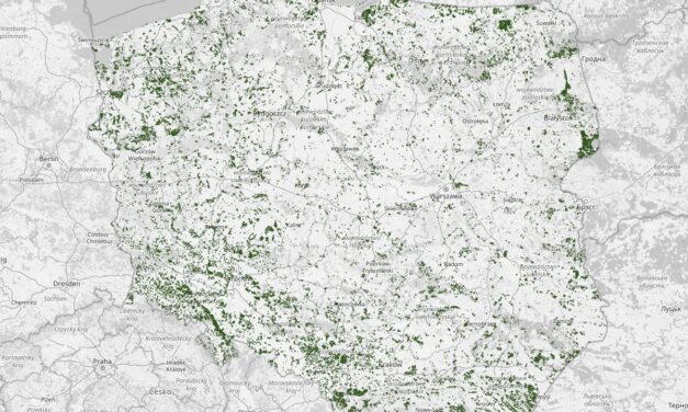 Nowa mapa lasów liściastych i mieszanych w Polsce – idealna na start wiosennego sezonu